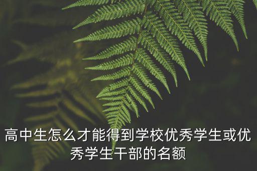高中生怎么才能得到學(xué)校優(yōu)秀學(xué)生或優(yōu)秀學(xué)生干部的名額