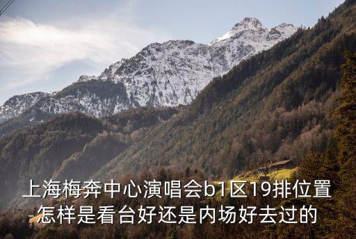 上海梅奔中心演唱會b1區19排位置怎樣是看臺好還是內場好去過的