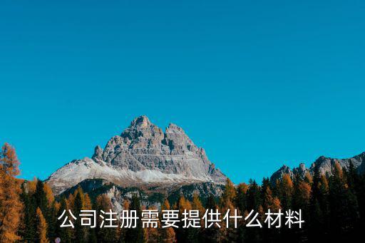 公司注冊(cè)需要提供什么材料