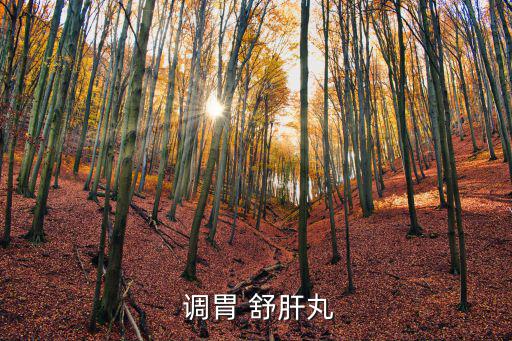  調胃 舒肝丸