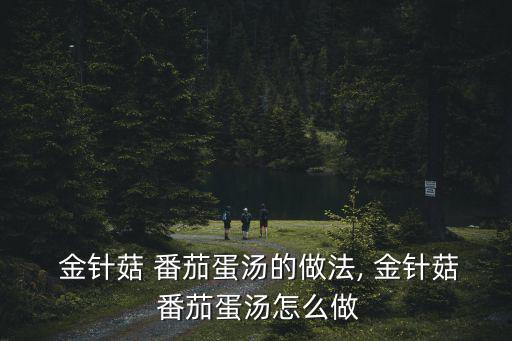  金針菇 番茄蛋湯的做法, 金針菇 番茄蛋湯怎么做