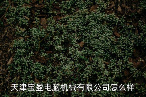 天津寶盈電腦機械有限公司怎么樣
