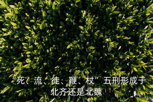 北齊律,馮舒等人制定北齊法成為當時最高級別封建法典
