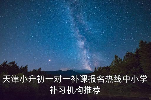 天津小升初一對一補課報名熱線中小學補習機構推薦