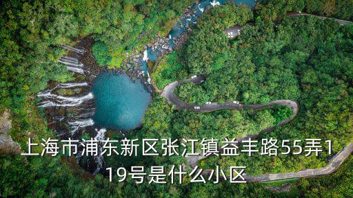 昨天上海哪個小區封了，上海市浦東新區張江鎮益豐路55弄119號是什么小區