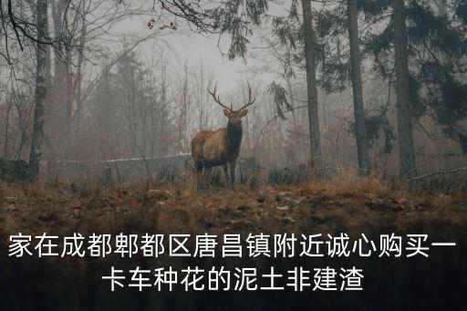 家在成都郫都區唐昌鎮附近誠心購買一卡車種花的泥土非建渣