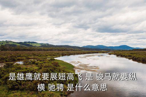 是雄鷹就要展翅高飛 是 駿馬就要縱橫 馳騁 是什么意思
