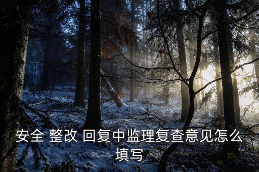 安全 整改 回復(fù)中監(jiān)理復(fù)查意見(jiàn)怎么填寫(xiě)