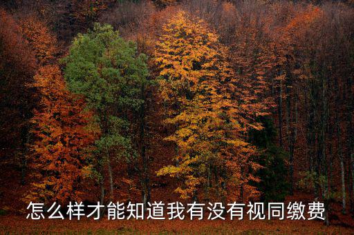 怎么樣才能知道我有沒有視同繳費