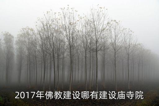 2017年佛教建設(shè)哪有建設(shè)廟寺院