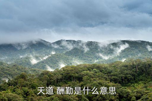 天道酬勤是什么意思,天道酬勤四個中文名:勤補不足笨鳥先飛