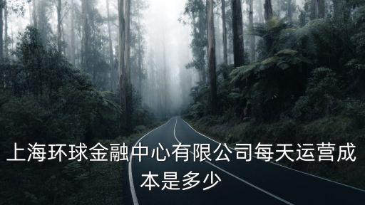 上海環(huán)球金融中心造價(jià)，上海的環(huán)球中心耗資多少資金