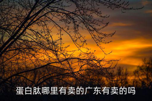 廣州有黃金蛋白肽代理嗎，賣黃金牡蠣蛋白肽是假的犯法嗎