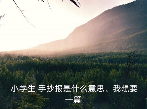  小學生 手抄報是什么意思、我想要一篇