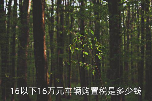 16以下16萬元車輛購置稅是多少錢