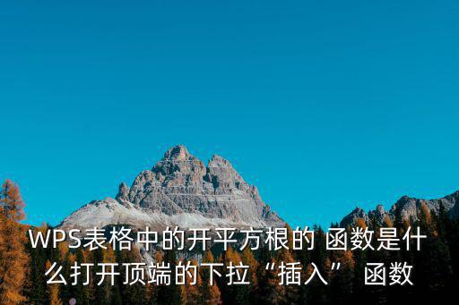 WPS表格中的開平方根的 函數(shù)是什么打開頂端的下拉“插入” 函數(shù)