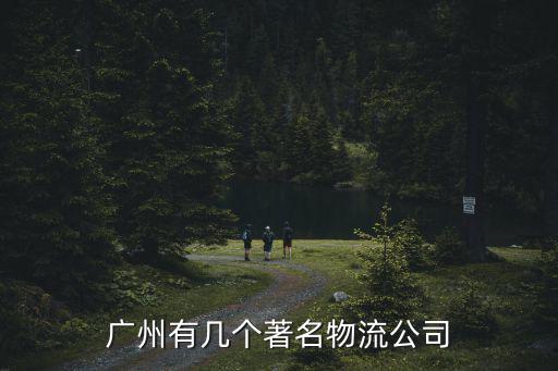 廣州有幾個(gè)著名物流公司