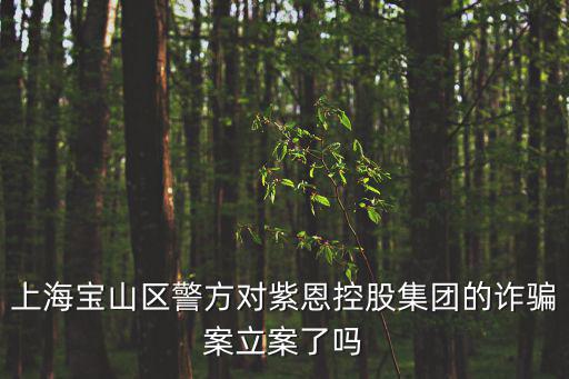 上海寶山區警方對紫恩控股集團的詐騙案立案了嗎