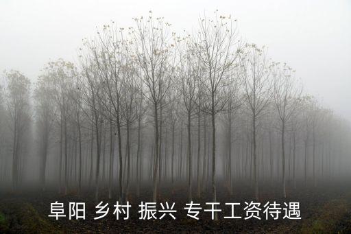 阜陽 鄉村 振興 專干工資待遇