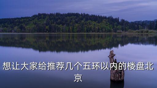 想讓大家給推薦幾個五環以內的樓盤北京