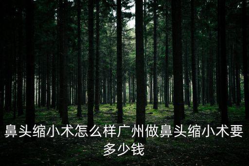 鼻頭縮小術怎么樣廣州做鼻頭縮小術要多少錢