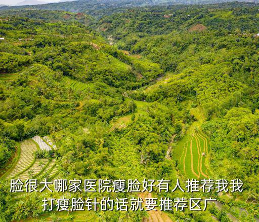 臉很大哪家醫院瘦臉好有人推薦我我 打瘦臉針的話就要推薦區廣
