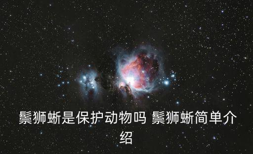 鬃獅蜥,大約一公斤鬃獅蜥蜴是蜥蜴科樹棲蜥蜴