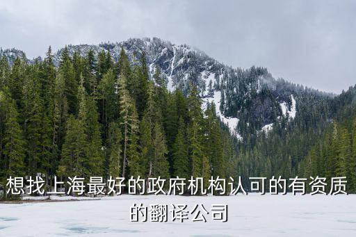 上海官方認證的翻譯公司有哪些，上海有沒有哪家翻譯公司有國家認可的翻譯師的