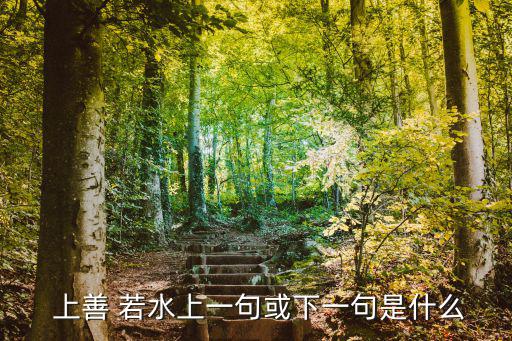 上善若水全文,上善若水的下一句是什么?