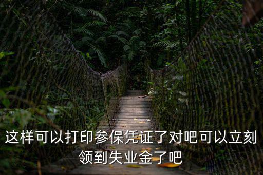 這樣可以打印參保憑證了對吧可以立刻領到失業金了吧