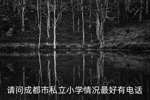 請問成都市私立小學情況最好有電話