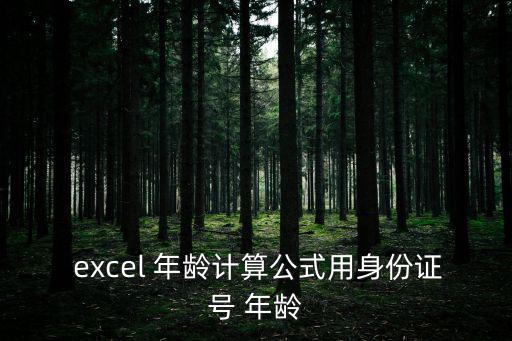 excel年齡,如何在excel中顯示年齡和身份?