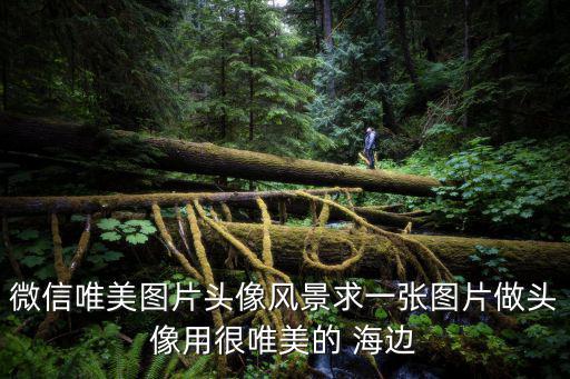 風景圖片 大海，有什么好看的大海圖片