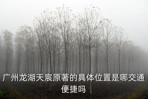 廣州 龍湖首開天宸原著，廣州龍湖天宸原著怎么樣環境好嗎