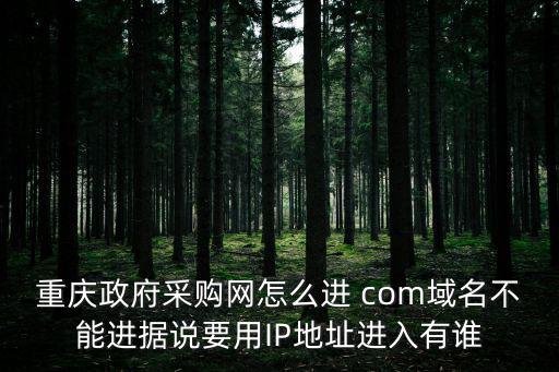 重慶政府采購網怎么進 com域名不能進據說要用IP地址進入有誰