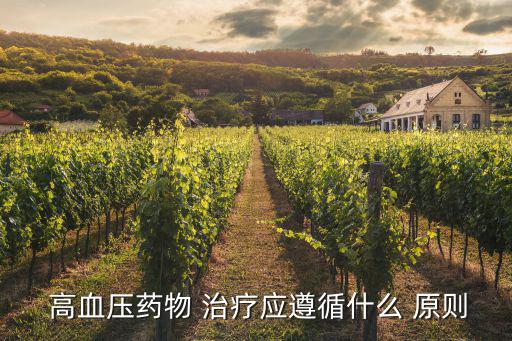  高血壓藥物 治療應(yīng)遵循什么 原則