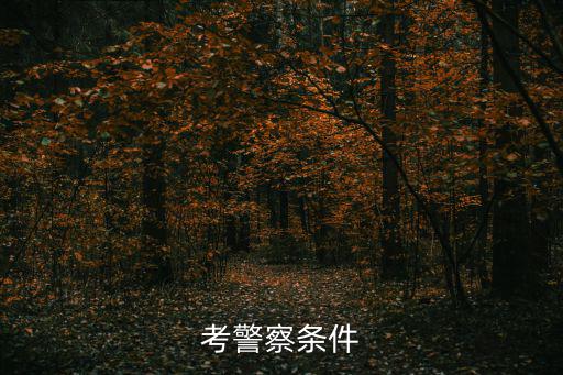 考警察條件