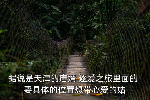 據(jù)說是天津的唐嫣 逐愛之旅里面的 要具體的位置想帶心愛的姑