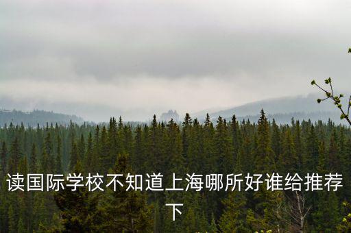 讀國際學校不知道上海哪所好誰給推薦下