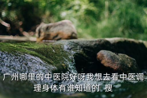 廣州哪里的中醫院好呀我想去看中醫調理身體有誰知道的  搜