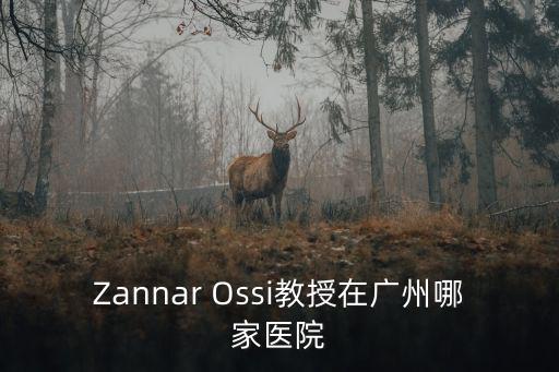 Zannar Ossi教授在廣州哪家醫院