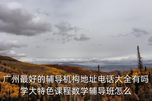 廣州最好的輔導機構地址電話大全有嗎學大特色課程數學輔導班怎么