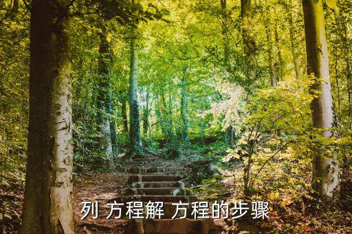 列 方程解 方程的步驟