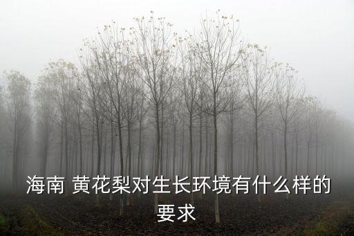  海南 黃花梨對(duì)生長環(huán)境有什么樣的要求