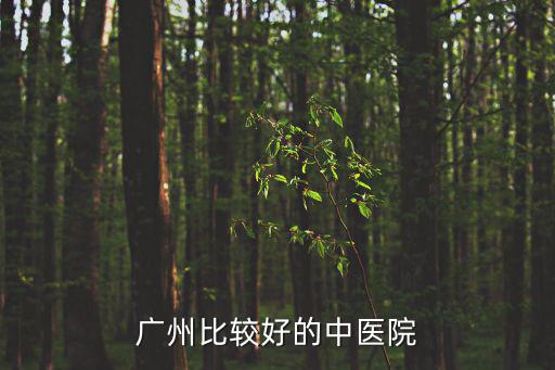 廣州比較好的中醫院