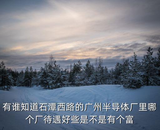 廣州興科半導體公司怎么樣，有誰知道石潭西路的廣州半導體廠里哪個廠待遇好些是不是有個富