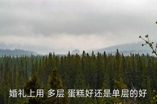 婚禮上用 多層 蛋糕好還是單層的好