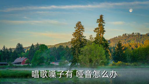 唱歌嗓子有 啞音怎么辦