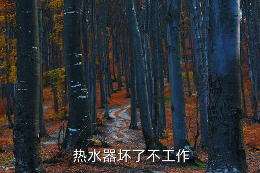 熱水器壞了,如何安裝和維修電熱水器?注意事項有哪些?