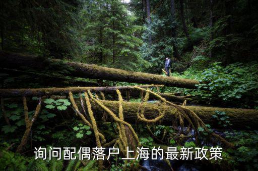 詢問配偶落戶上海的最新政策